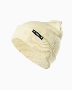 Accesorios Alphalete Essential Foldover Beanie Hombre Resin | SKPWTB-315