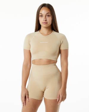 Camisas Alphalete Amplify V-Neck Crop Top Mujer Hazelnut | WMTXHE-306