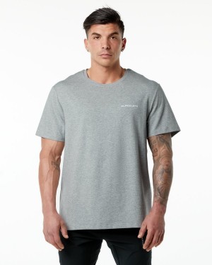 Camisas Alphalete Classic Tee Hombre Gris | NCOEKX-835