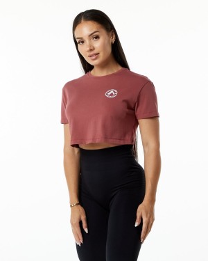 Camisas Alphalete Dynasty Crop Mujer Gingerbread | KQOZRD-286