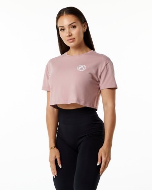 Camisas Alphalete Dynasty Crop Mujer Mauve | SCPQDN-697