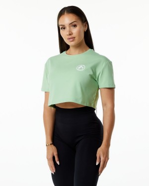 Camisas Alphalete Dynasty Crop Mujer Pistachio | IHYQJW-294