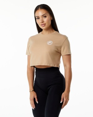 Camisas Alphalete Dynasty Crop Mujer Taupe | DUEASN-923