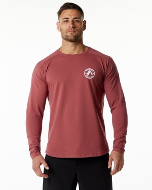 Camisas Alphalete Dynasty LS Tee Hombre Gingerbread | BRWTFI-127