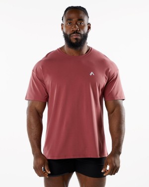 Camisas Alphalete Emblem Tee Hombre Gingerbread | VPOWJI-267