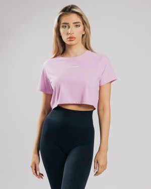 Camisas Alphalete Signature Mesh Crop Mujer Rosas | KQLCWB-641