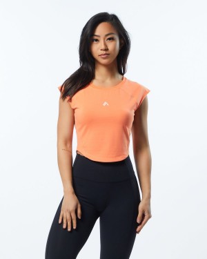 Camisas Alphalete Velocity Crop Tee Mujer Electric Peach | JCQWKT-913