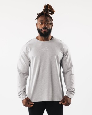 Camisas Alphalete Wolf Head LS Tee Hombre Gris | HEJAVW-971