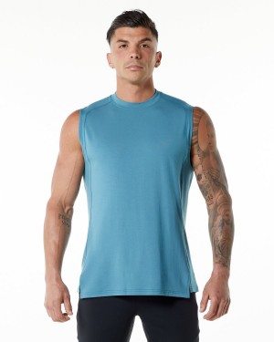 Camiseta Tirantes Alphalete Evo Tank Hombre Azules | VRPFDH-497