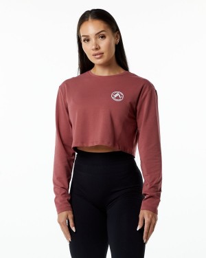 Manga Larga Alphalete Dynasty LS Crop Mujer Gingerbread | YNHERO-381