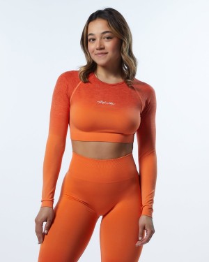 Manga Larga Alphalete Ombre Amplify LS Crop Mujer Strawberry | VCMPBG-075