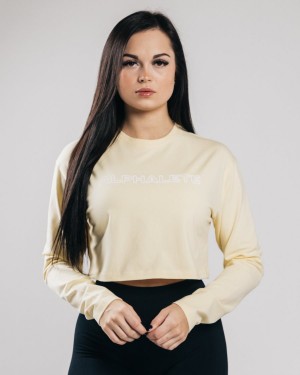 Manga Larga Alphalete Outlined Long Sleeve Crop Mujer Sea Salt | QIREAP-530