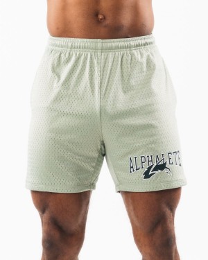 Short Alphalete Wolf Head Mesh Corta 6" Hombre Sage | PIMRWC-350