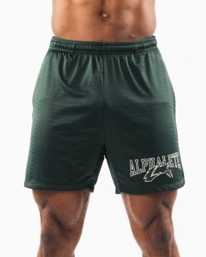 Short Alphalete Wolf Head Mesh Corta 6" Hombre Evergreen | QBXSFR-273