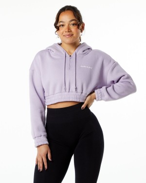 Sudadera con Capucha Alphalete Classic Capital Crop Hoodie Mujer Misty Lilac | HBMWDV-840