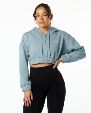 Sudadera con Capucha Alphalete Classic Capital Crop Hoodie Mujer Azules | KVUEYX-942