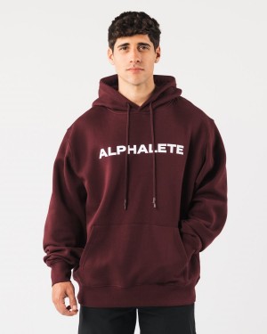 Sudadera con Capucha Alphalete Core Hoodie Hombre Sangria | NYVFMK-468