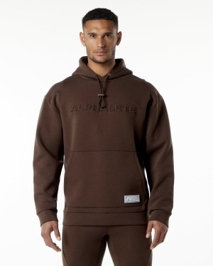 Sudadera con Capucha Alphalete ELMTS Hoodie Hombre Marrones | LXIVFU-215