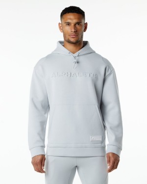 Sudadera con Capucha Alphalete ELMTS Hoodie Hombre Gris | OKLEJR-753