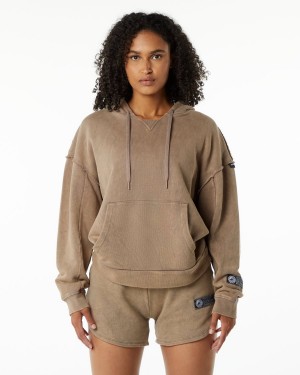 Sudadera con Capucha Alphalete Very Terry Hoodie Mujer Smokey Quartz | PAOMWI-382