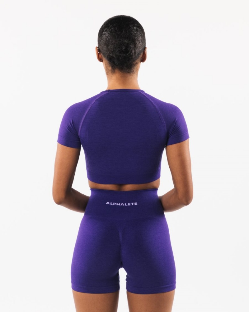 Camisas Alphalete Amplify SS Crop Mujer Moradas | PWBUCA-150