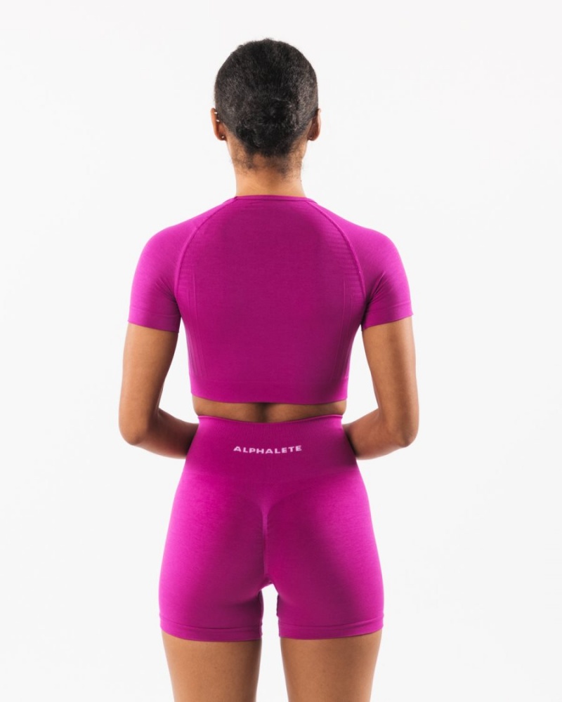 Camisas Alphalete Amplify SS Crop Mujer Candy Crush | ZAXBVL-018