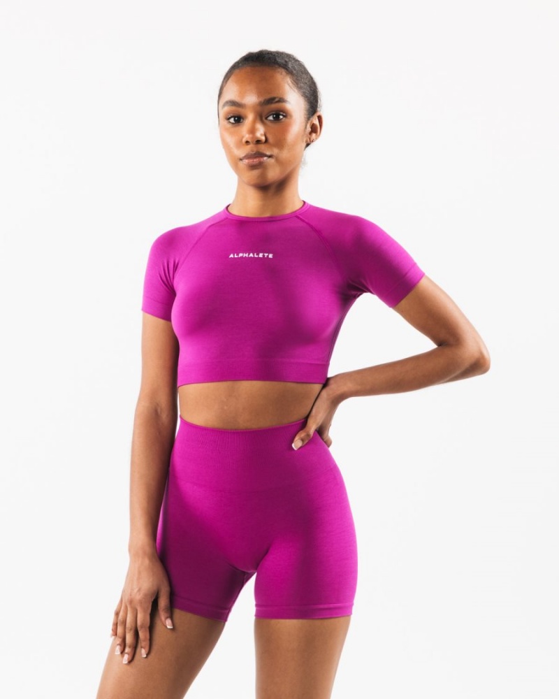 Camisas Alphalete Amplify SS Crop Mujer Candy Crush | ZAXBVL-018