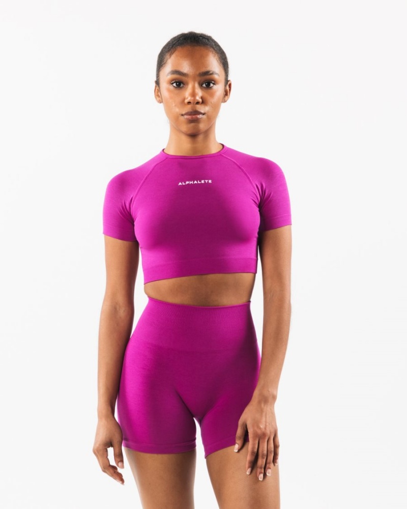 Camisas Alphalete Amplify SS Crop Mujer Candy Crush | ZAXBVL-018