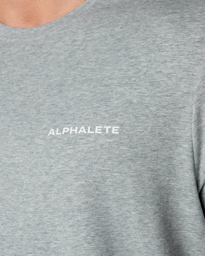 Camisas Alphalete Classic Tee Hombre Gris | NCOEKX-835