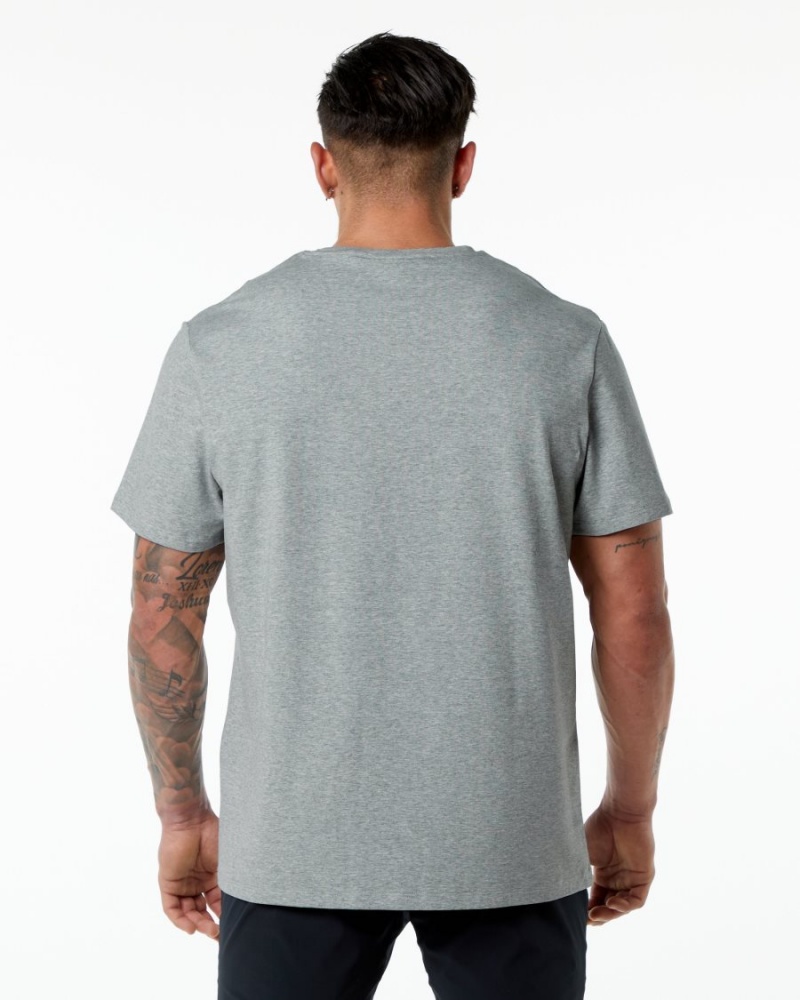 Camisas Alphalete Classic Tee Hombre Gris | NCOEKX-835