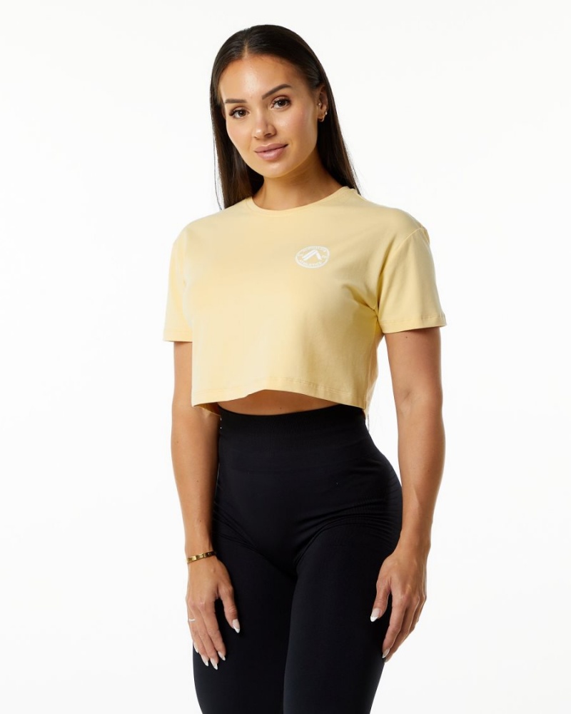 Camisas Alphalete Dynasty Crop Mujer Daffodil | EHPVML-240