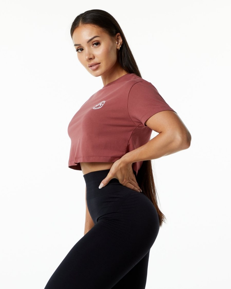 Camisas Alphalete Dynasty Crop Mujer Gingerbread | KQOZRD-286