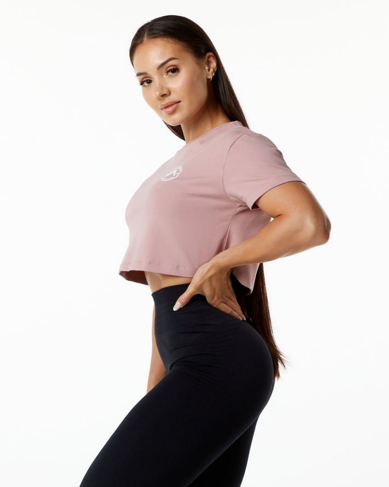 Camisas Alphalete Dynasty Crop Mujer Mauve | SCPQDN-697