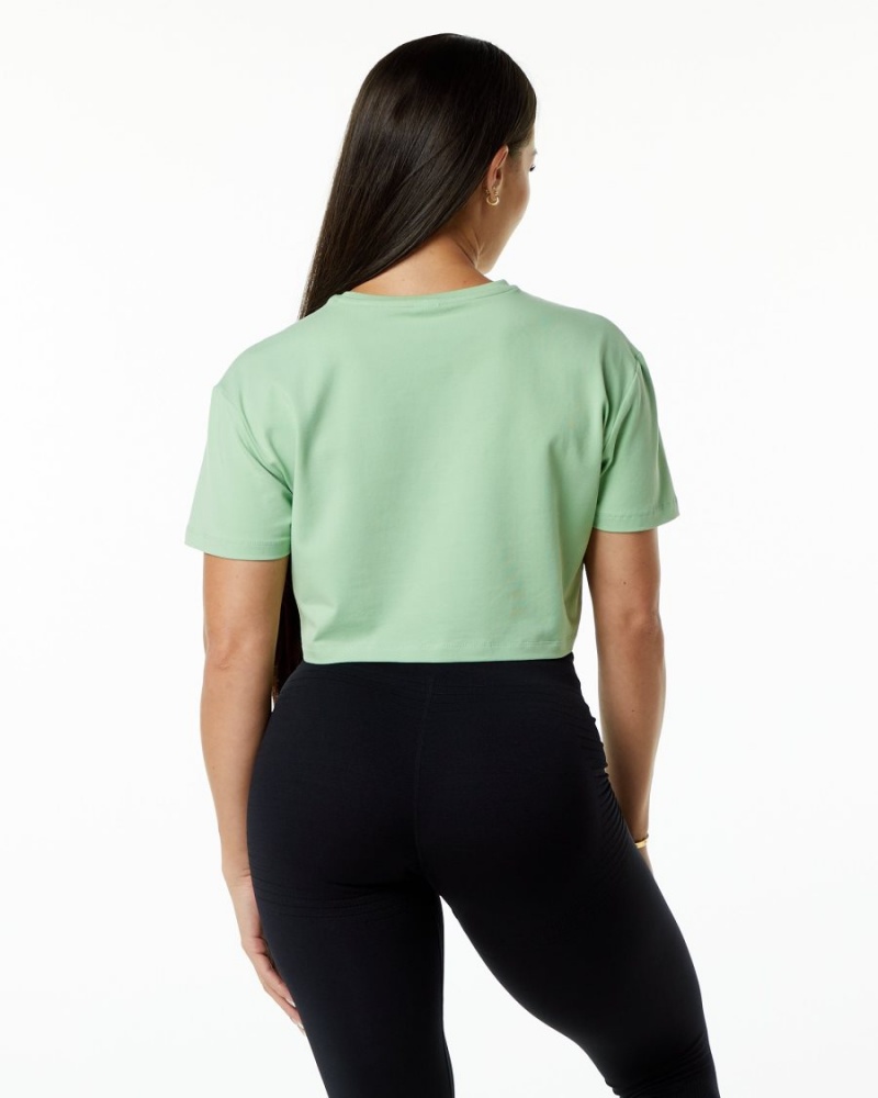 Camisas Alphalete Dynasty Crop Mujer Pistachio | IHYQJW-294