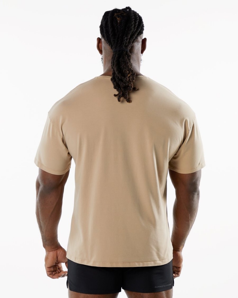 Camisas Alphalete Emblem Tee Hombre Taupe | GWUQSP-384