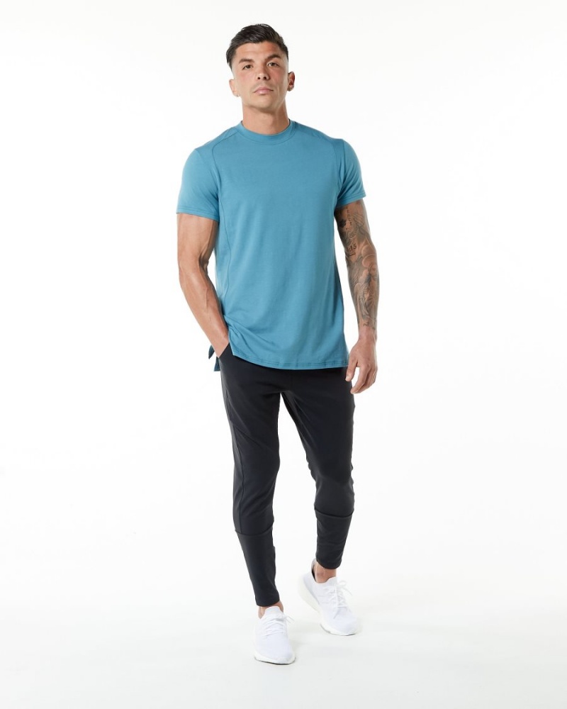 Camisas Alphalete Evo Tee Hombre Azules | MODQCB-408