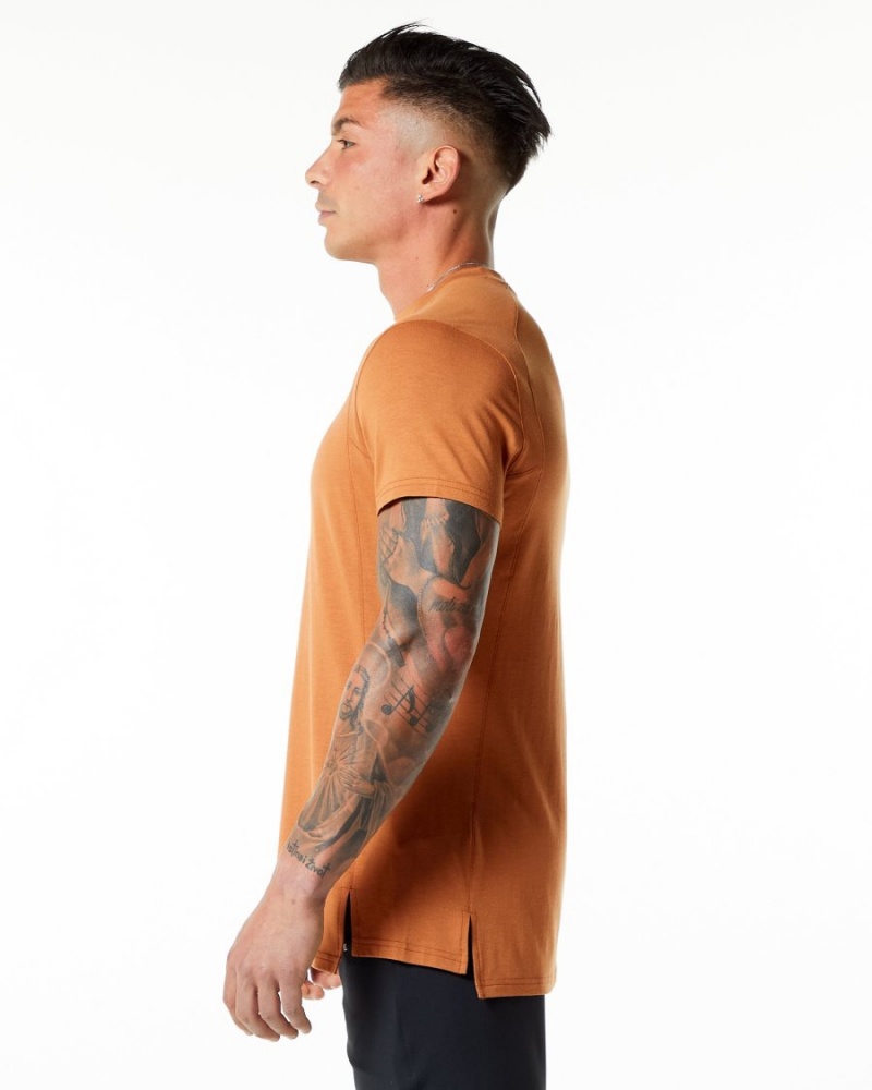 Camisas Alphalete Evo Tee Hombre Camel | FLUHPX-657