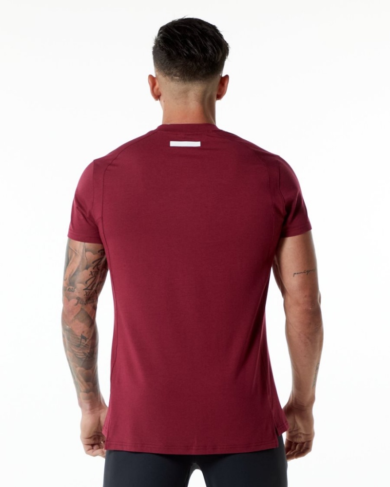 Camisas Alphalete Evo Tee Hombre Rojas | DMFEKV-475