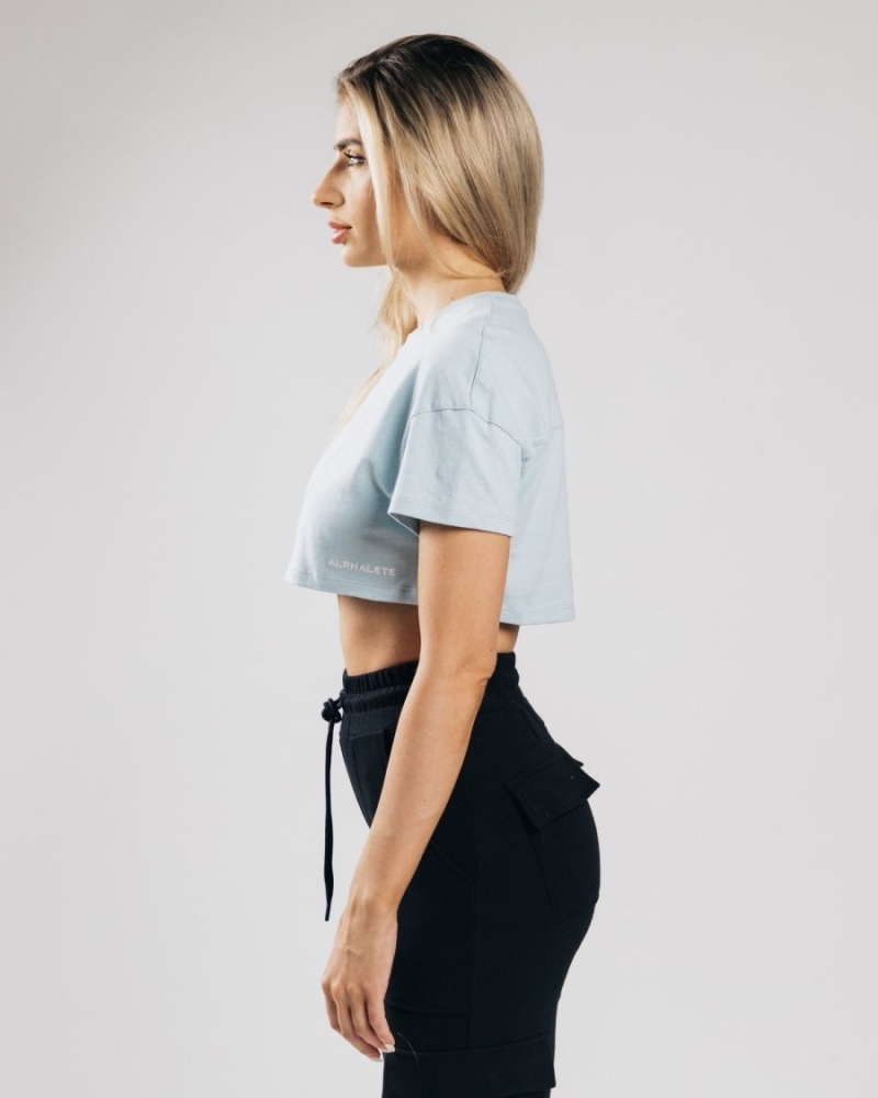 Camisas Alphalete Heavy Algodon Dropped Shoulder Crop Mujer Azules | RAWFBG-013