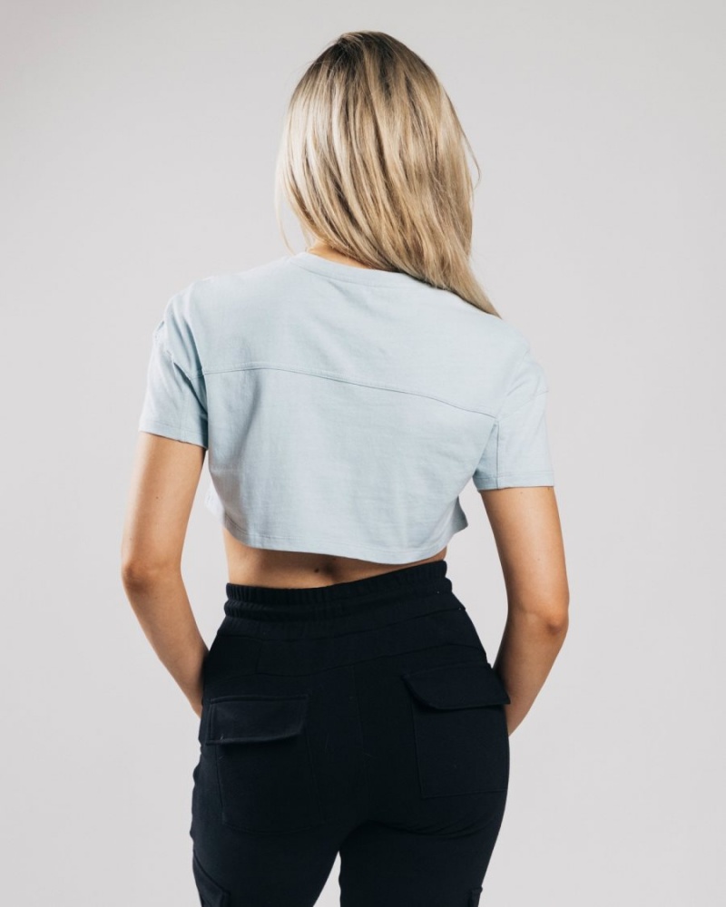 Camisas Alphalete Heavy Algodon Dropped Shoulder Crop Mujer Azules | RAWFBG-013