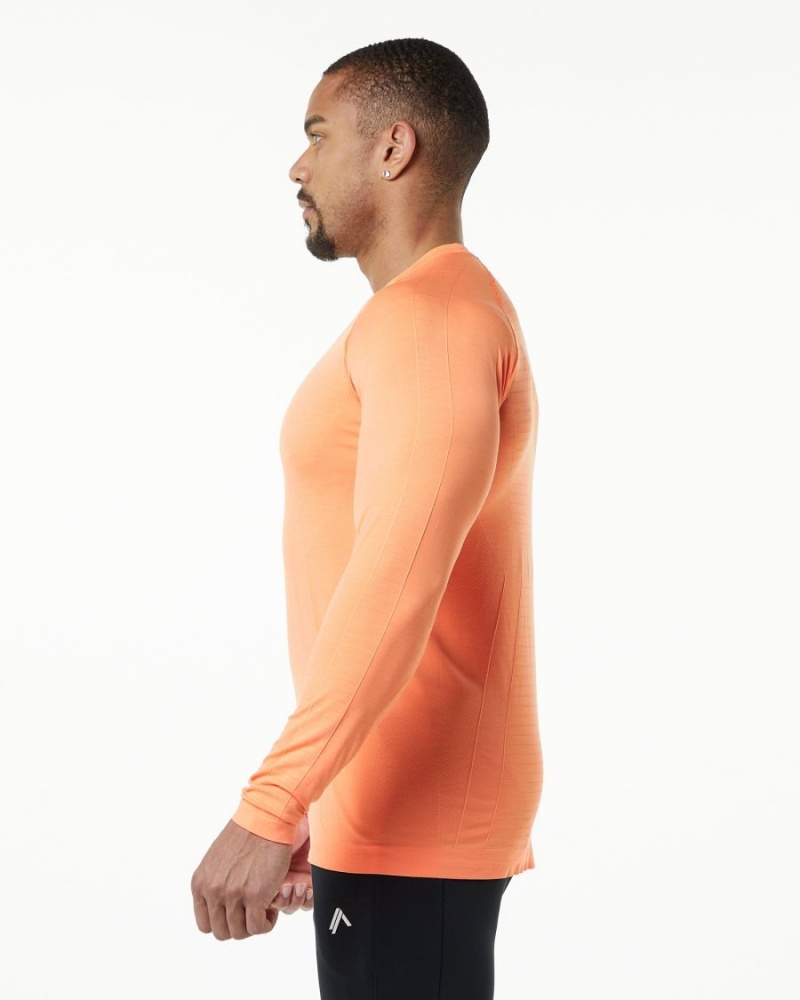 Camisas Alphalete Hero Long Sleeve Tee Hombre Faded Day Tripper | LISZEH-230