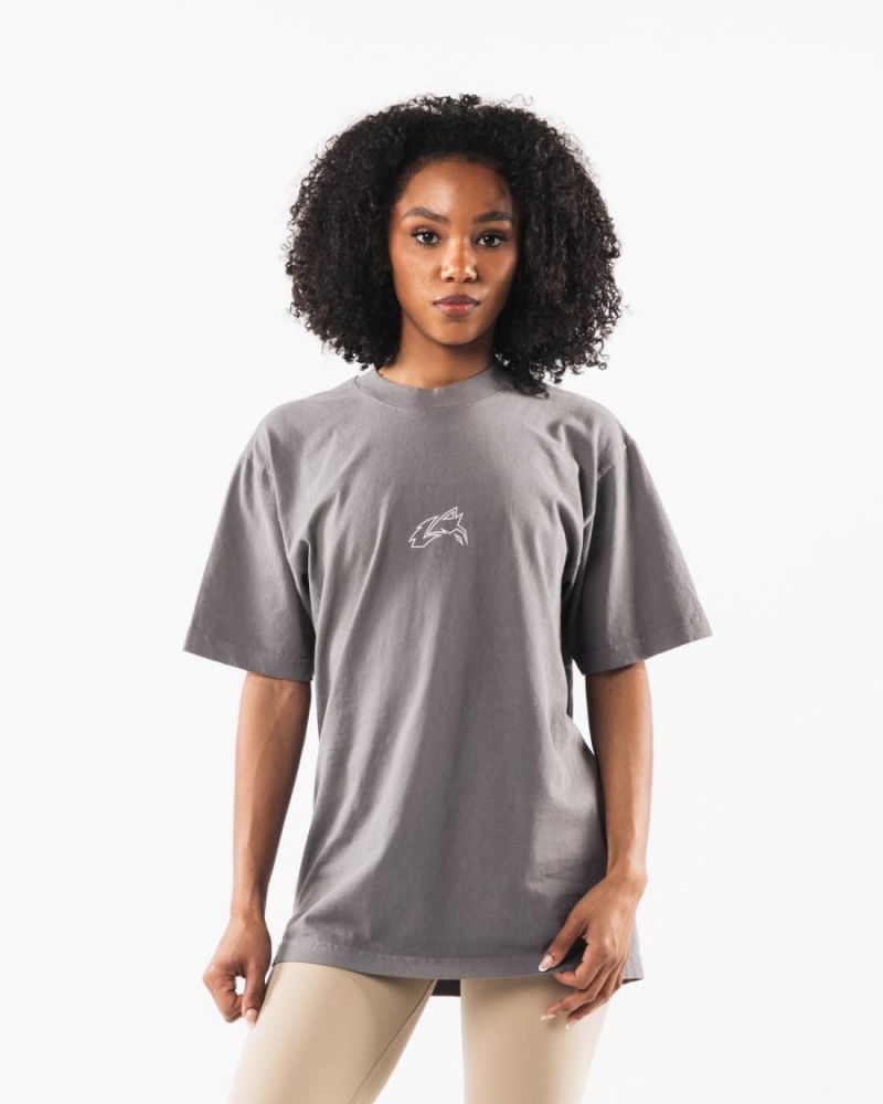 Camisas Alphalete LDB Outline Tee Mujer Charcoal | HINALO-107