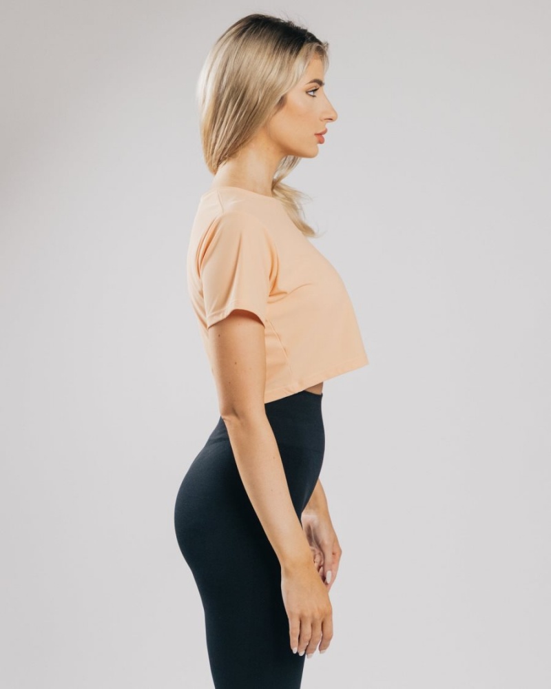 Camisas Alphalete Signature Mesh Crop Mujer Naranjas | YPFXCT-471