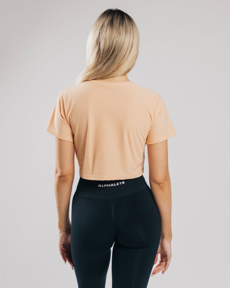 Camisas Alphalete Signature Mesh Crop Mujer Naranjas | YPFXCT-471