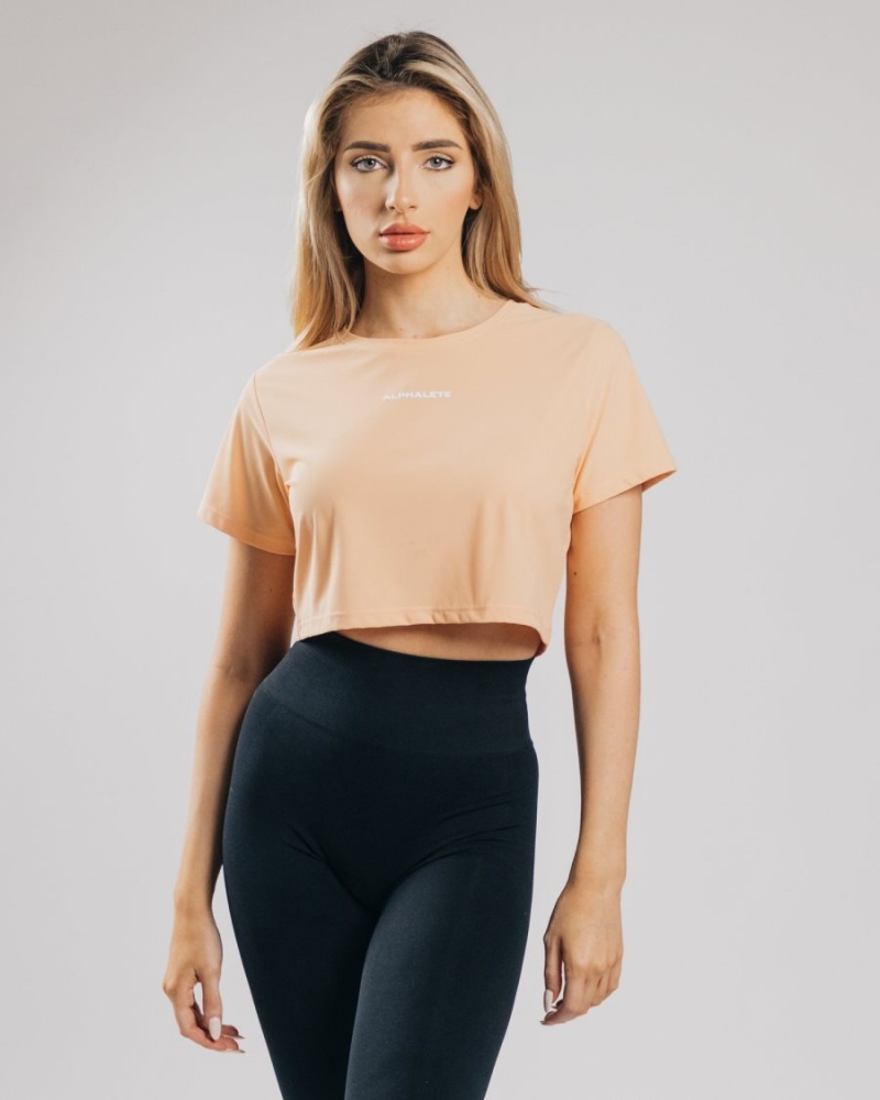 Camisas Alphalete Signature Mesh Crop Mujer Naranjas | YPFXCT-471