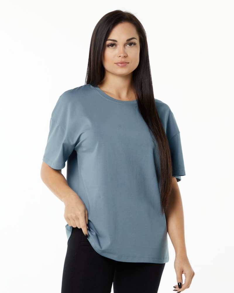 Camisas Alphalete Signature Oversized Tee Mujer Azules | TANZHY-203