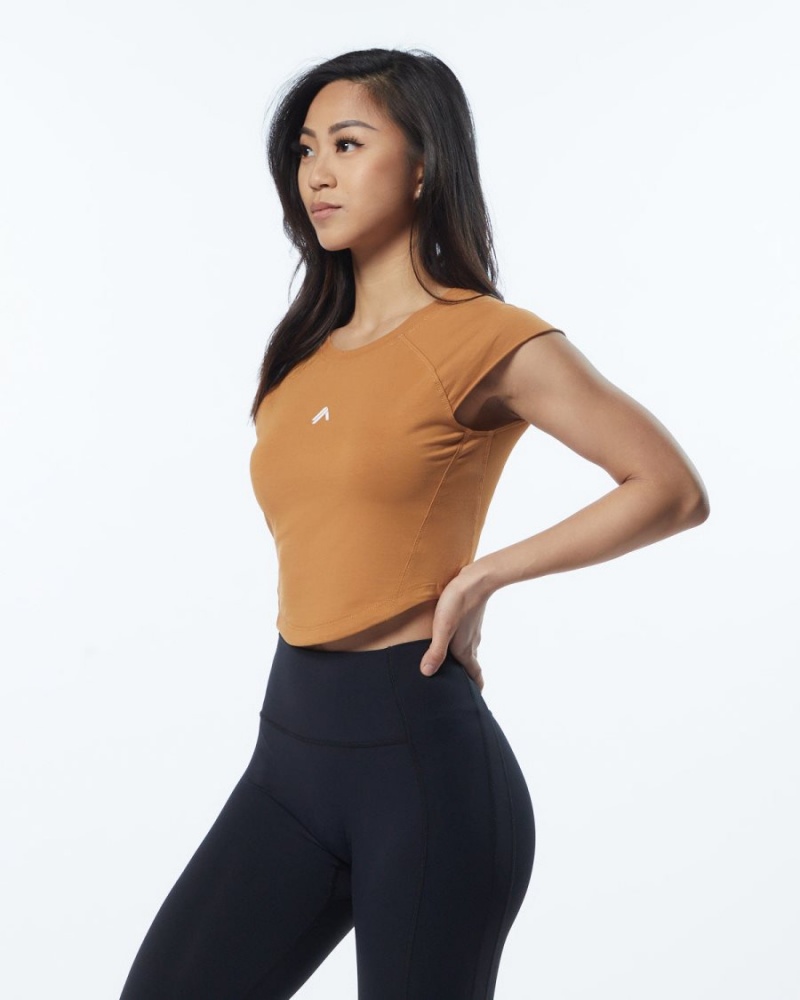 Camisas Alphalete Velocity Crop Tee Mujer Chestnut | BIYHCQ-152