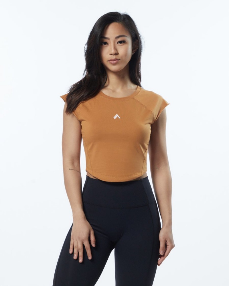 Camisas Alphalete Velocity Crop Tee Mujer Chestnut | BIYHCQ-152