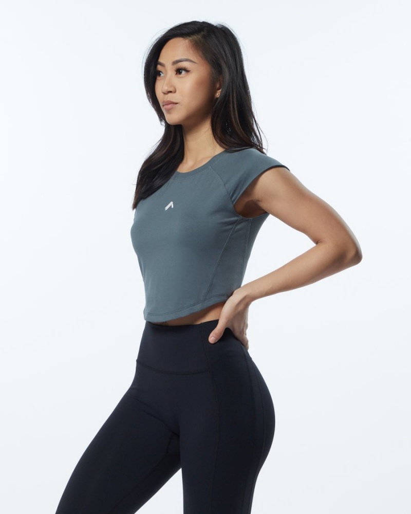 Camisas Alphalete Velocity Crop Tee Mujer Gris | LZNCTA-830