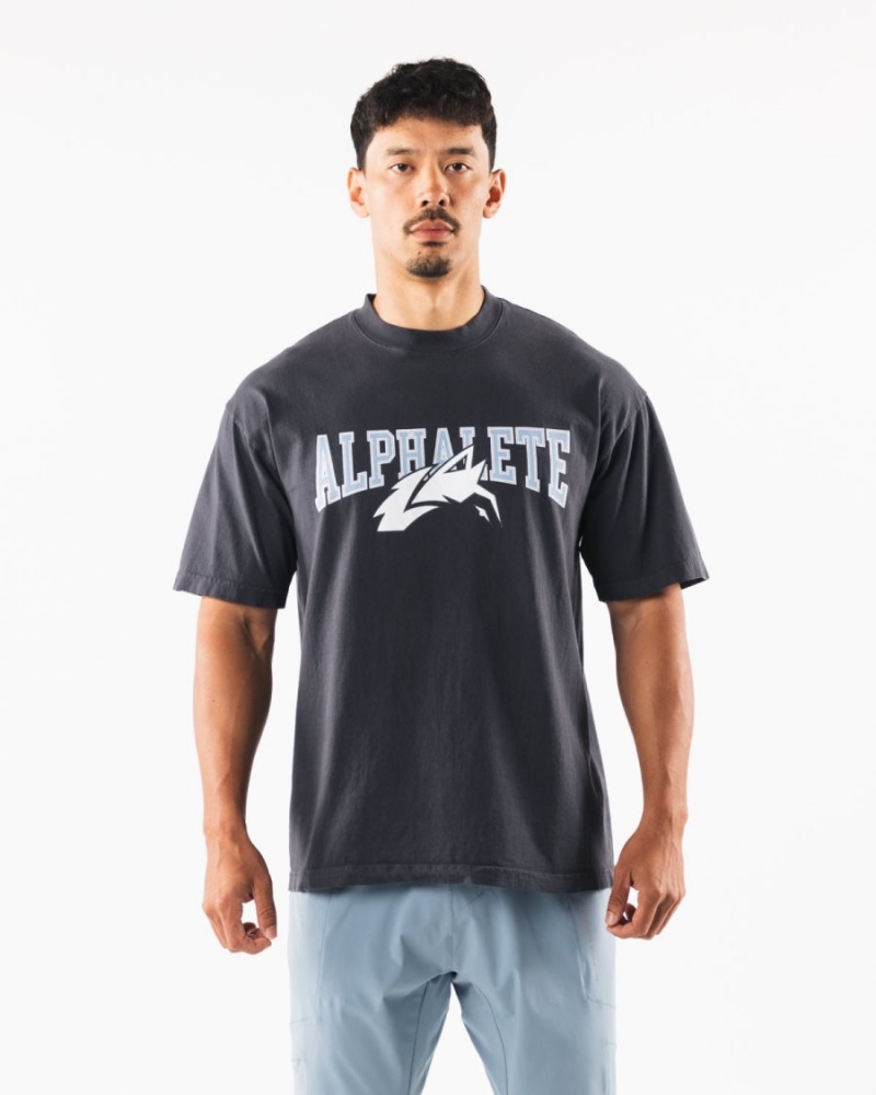 Camisas Alphalete Wolf Head Tee Hombre Azules | RPYXDB-076